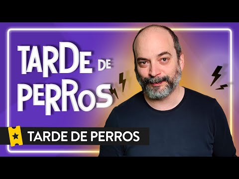Análisis 'Tarde de Perros' ('Dog Day Afternoon') | TARDE DE PERROS S01_E13
