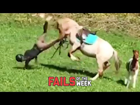 We're Going Down! Fails Of The Week