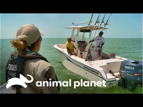 Inspección de botes de pesca | Guardianes de Texas | Animal Planet