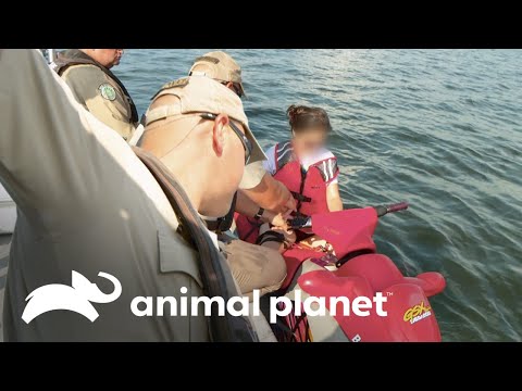 Mujeres navegan en zona no permitida | Guardianes de Texas | Animal Planet