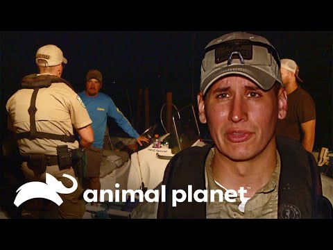 Los guardianes vigilan la pesca nocturna | Guardianes de Texas | Animal Planet Latinoamérica