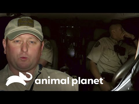 El hombre que se hizo pasar por guardián de caza y pesca | Guardianes de Texas | Animal Planet