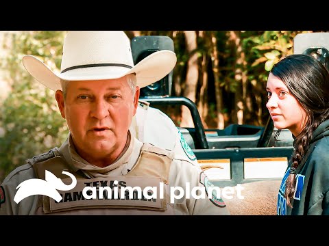 Una adolescente cometió un error al cazar un ciervo | Guardianes de Texas | Animal Planet