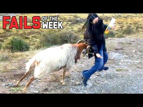 Rammed! | Funniest Fails of the Week