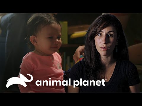 Su hija de quince meses sufre una severa deshidratación | Parásitos Asesinos | Animal Planet