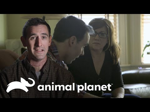 Un extraño dolor en la mandíbula | Parásitos Asesinos | Animal Planet Latinoamérica