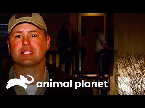 Un hombre podría estar cazando más de lo permitido | Guardianes de Texas | Animal Planet