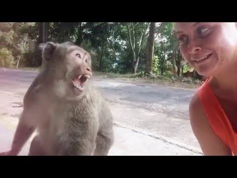 Damn Nature You Crazy | Insane Animal Fails