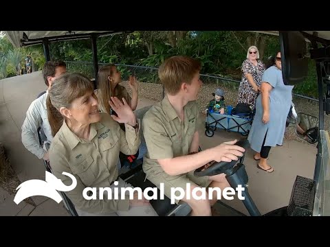Reviviendo la magia: El zoo de los Irwin reabre sus puertas | Los Irwin | Animal Planet